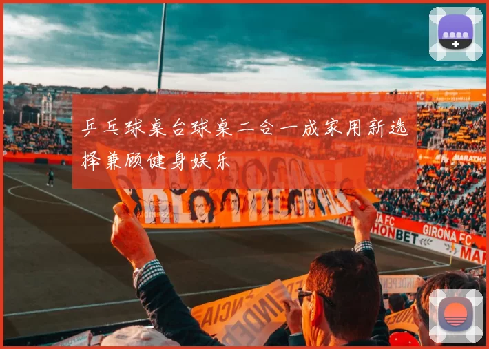 乒乓球桌台球桌二合一成家用新选择兼顾健身娱乐