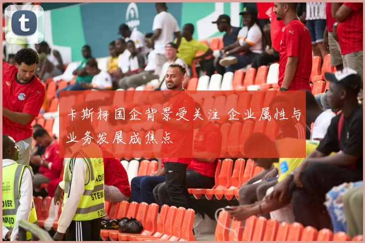卡斯柯国企背景受关注 企业属性与业务发展成焦点