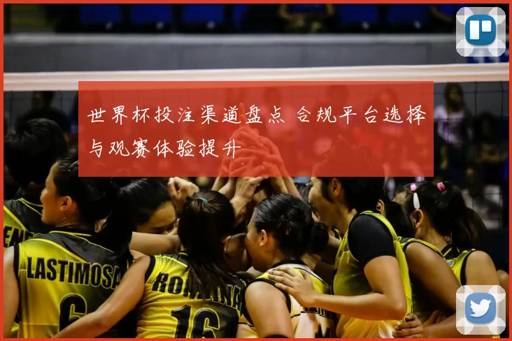 世界杯投注渠道盘点 合规平台选择与观赛体验提升