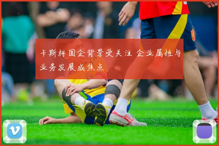 卡斯柯国企背景受关注 企业属性与业务发展成焦点