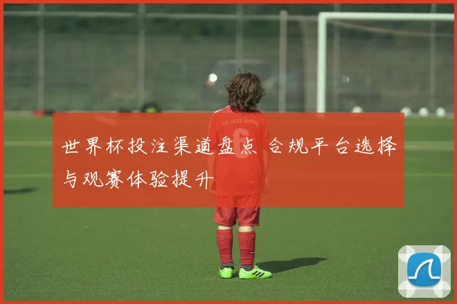 世界杯投注渠道盘点 合规平台选择与观赛体验提升