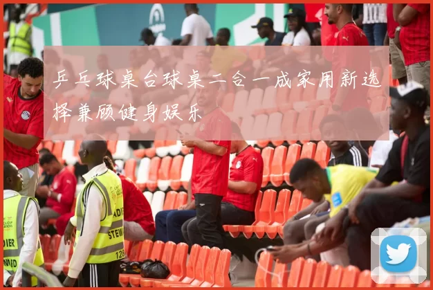 乒乓球桌台球桌二合一成家用新选择兼顾健身娱乐
