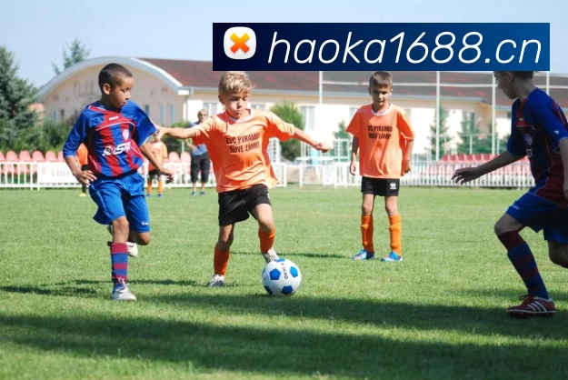 韦德·官方端入口 - 韦德(中国)APP 封面图